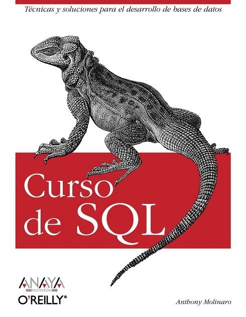 CURSO DE SQL | 9788441520417 | MOLINARO, ANTHONY
