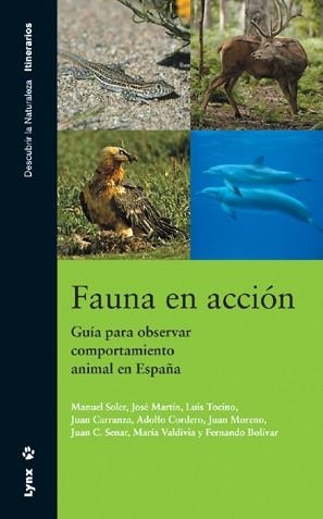 FAUNA EN ACCION | 9788496553231 | AAVV