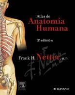 ATLAS DE ANATOMIA HUMANA | 9788445812976 | NETTER, FRANK H