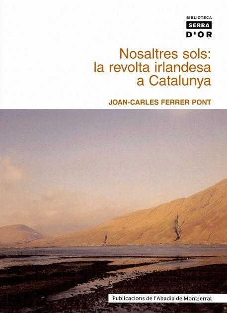 NOSALTRES SOLS LA REVOLTA IRLANDESA A CATALUNYA | 9788484159131 | FERRER I PONT, JOAN CARLES