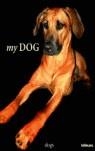 DOG, MY | 9783832792169 | VV AA