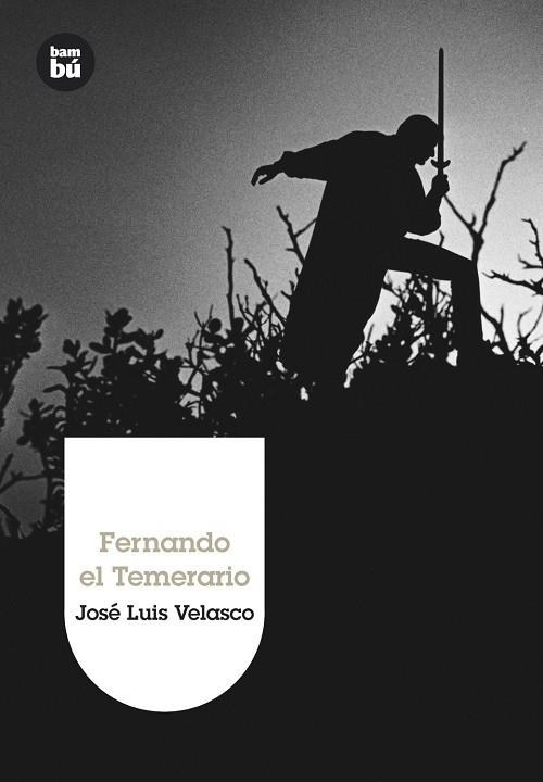 FERNANDO EL TEMERARIO | 9788483430323 | VELASCO, JOSE LUIS