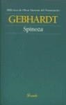 SPINOZA | 9789500395564 | GEBHARDT