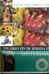 AMSTERDAM GRAN FIN DE SEMANA | 9788421681251 | AAVV