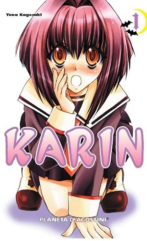 KARIN 1 | 9788467456066 | KASEGAKI