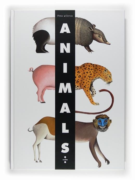 ANIMALS | 9788466121194 | PITTAU