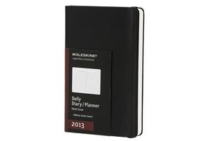 2013 DAILY DIARY 12 MONTHS L AGENDA DIARIA | 9788866131106 | AAVV