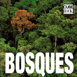 BOSQUES CUBE BOOK | 9788496865839 | AAVV