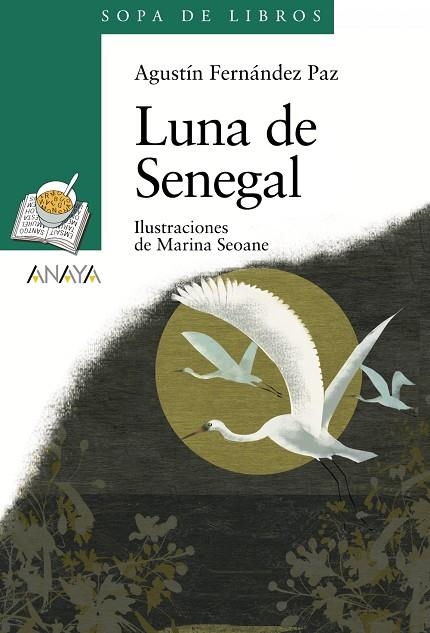 LUNA DE SENEGAL | 9788466784306 | FERNANDEZ, AGUSTIN