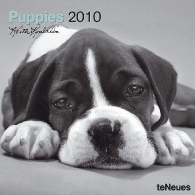 PUPPIES 2010 | 9783832738853 | VV AA