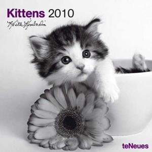 KITTENS 2010 | 9783832738846 | VV AA