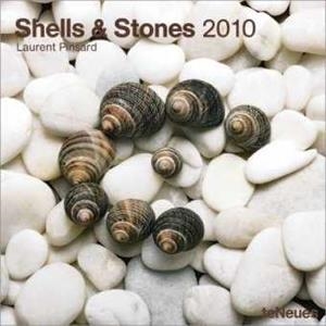 SHELLS AND STONE 2010 | 9783832738716 | VV AA