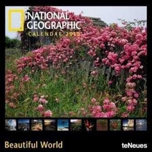 BEAUTIFUL WORLD 2010 | 9783832738808 | VV. AA.