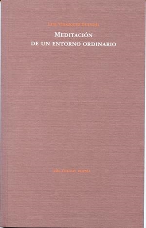 MEDITACION DE UN ENTORNO ORDINARIO | 9788481919974 | VELAZQUEZ BUENDIA, LUIS