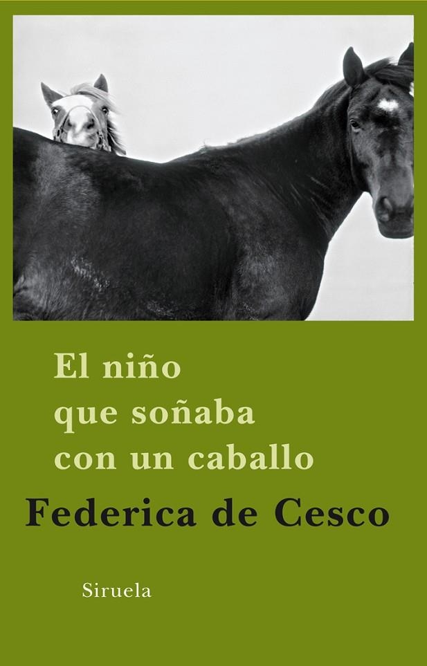 NIÑO QUE SOÑABA CON UN CABALLO, EL | 9788498413649 | CESCO, FEDERICA DE