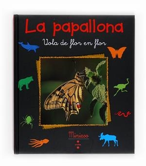 PAPALLONA, LA | 9788466125109 | TRACQUI, VALERIE