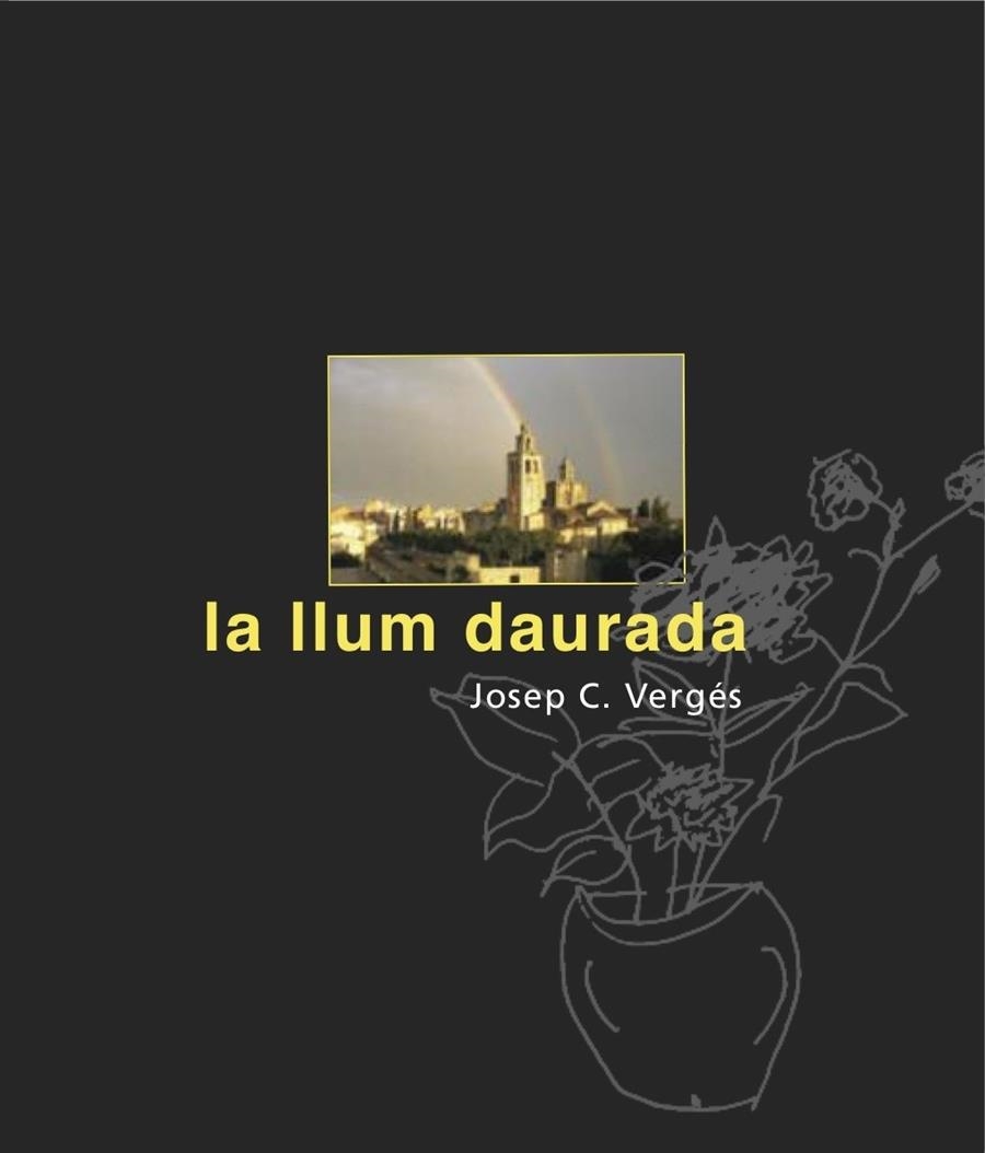 LLUM DAURADA, LA | 9788492607990 | VERGES, JOSEP