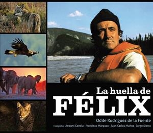 HUELLA DE FELIX, LA | 9788425345685 | RODRIGUEZ DE LA FUENTE, ODILE