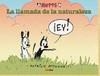 MUTTS 3. LA LLAMADA DE LA NATURALEZA | 9788498855401 | PATRICK MCDONELL