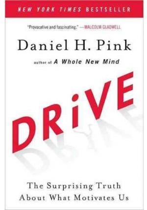 DRIVE | 9781594484803 | PINK, DANIEL