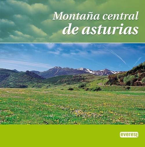 MONTAÑA CENTRAL DE ASTURIAS | 9788444103365 | CONSULTORÍA TURÍSTICA ZEPPELÍN SL