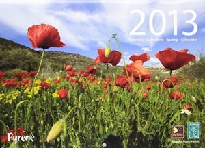 CALENDARI PYRENE 2013 | 9788480904742 | MUNTADA, FRANCESC