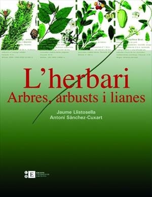 HERBARI, ARBRES, ARBUSTS I LIANES, L' | 9788483384220 | LLISTOSELLA, JAUME