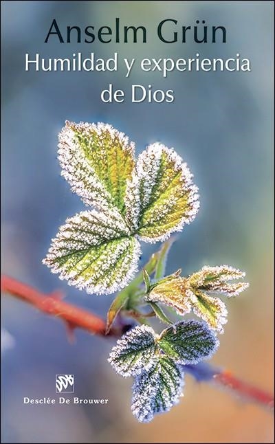 HUMILDAD Y EXPERIENCIA DE DIOS | 9788433027764 | GRÜN, ANSELM