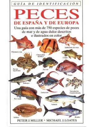 PECES DE ESPAÑA Y DE EUROPA , GUIA DE IDENTIFICACION | 9788428211239 | MILLER , PETER J.