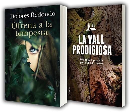 OFRENA A LA TEMPESTA + GUIA DE BAZTAN | 9788466419956 | DOLORES REDONDO