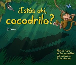 ESTÁS AHÍ, COCODRILO? | 9788469604137 | VV. AA.