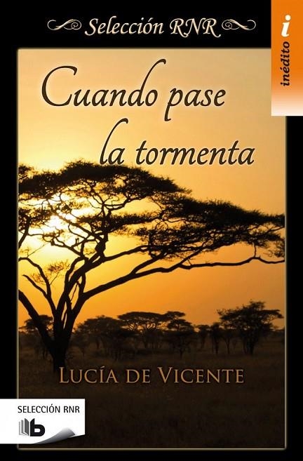 CUANDO PASE LA TORMENTA (SELECCIÓN RNR) | 9788490702543 | DE VICENTE, LUCÍA