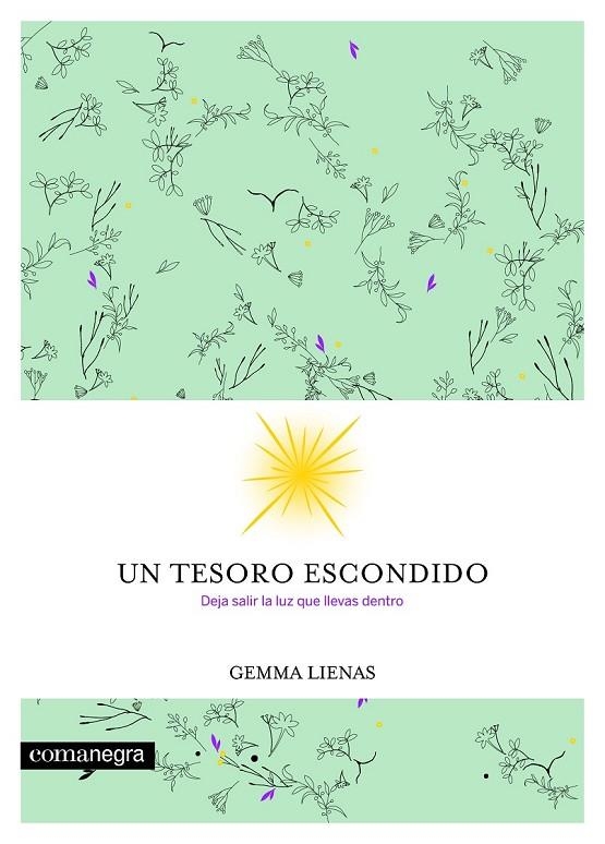 UN TESORO ESCONDIDO | 9788416605354 | LIENAS MASSOT, GEMMA