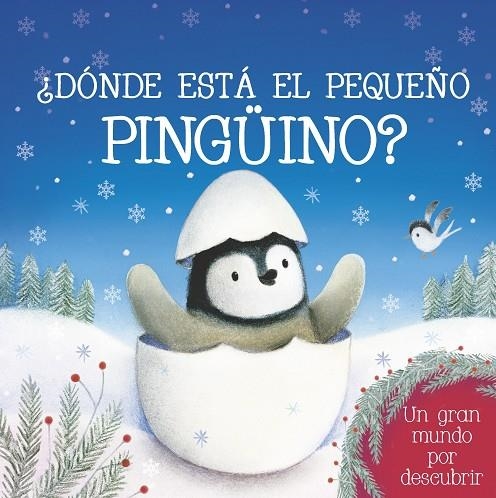 DONDE ESTA EL PEQUEÑO PINGUIN | 9788490946176 | AA VV