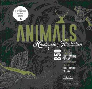 ANIMALS HANDMADE ILLUSTRATION | 9788416504190 | JOAN ESCANDELL