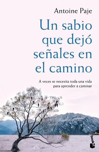 UN SABIO QUE DEJÓ SEÑALES EN EL CAMINO | 9788408166382 | ANTOINE PAJE