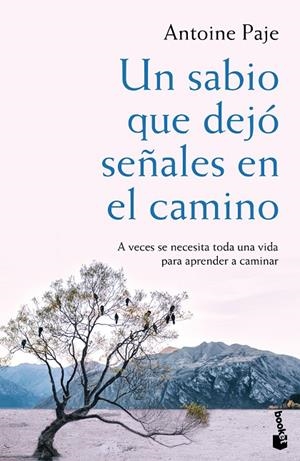 UN SABIO QUE DEJÓ SEÑALES EN EL CAMINO | 9788408166382 | ANTOINE PAJE