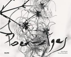 POEMATGES | 9788416965250 | BOADA, MARTÍ / ROMANILLOS, TERESA / RODRÍGUEZ FISCHER, CRISTINA