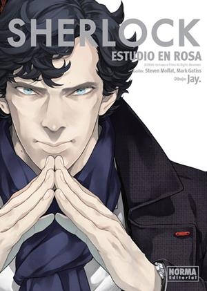 SHERLOCK: ESTUDIO EN ROSA | 9788467926583 | JAY-MOFFAT-GATISS