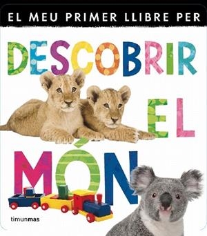DESCOBRIR EL MON | 9788499329840 | DIVERSOS AUTORS