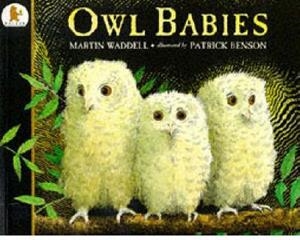 OWL BABIES | 9780744531671 | WADDELL/BENSON