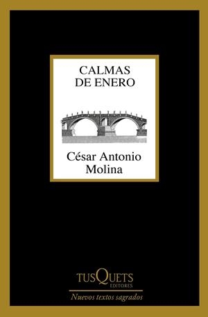 CALMAS DE ENERO | 9788490664704 | MOLINA, CÉSAR ANTONIO