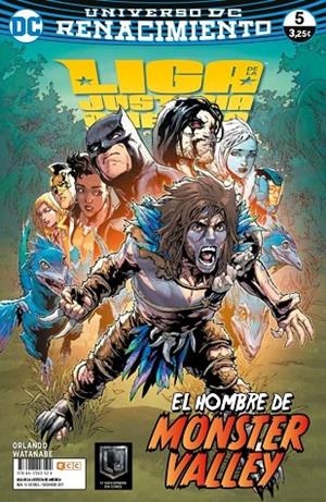 LIGA DE LA JUSTICIA DE AMÉRICA NÚM. 05 (RENACIMIENTO) | 9788417243524 | WATANABE, FELIPE/ ORLANDO, STEVE