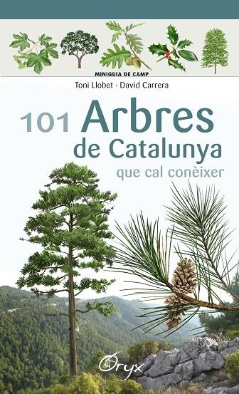 101 ARBRES DE CATALUNYA | 9788490346778 | LLOBET FRANÇOIS, TONI / CARRERA BONET, DAVID