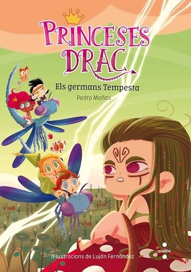 PRINCESES DRAC: ELS GERMANS TEMPESTA | 9788466143769 | MAÑAS ROMERO, PEDRO