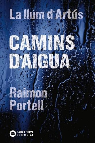 CAMINS D'AIGUA. LA LLUM D'ARTÚS | 9788448942144 | PORTELL, RAIMON