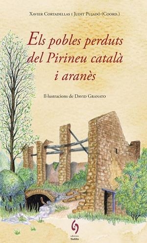 ELS POBLES PERDUTS DEL PIRINEU CATALÀ I ARANÈS | 9788494748479 | AA.DD.