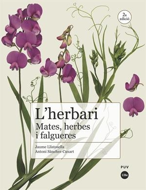 L'HERBARI: MATES, HERBES I FALGUERES | 9788491682981 | SÀNCHEZ CUXART, ANTONI / LLISTOSELLA VIDAL, JAUME