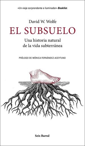 EL SUBSUELO | 9788432235603 | WOLFE, DAVID W.