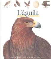 AGUILA, L` | 9788476298220